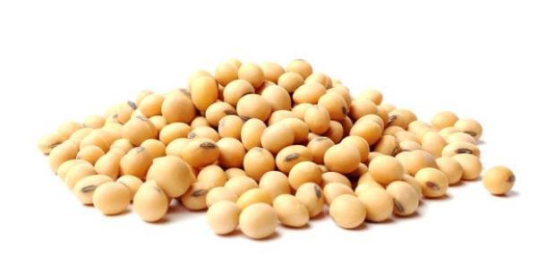 Soya Entera Nacional
