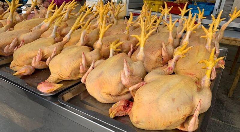 Pollo Fresco