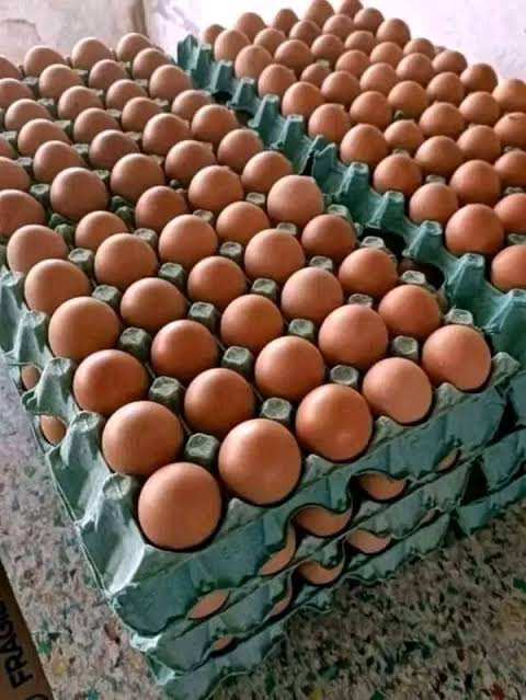 Huevos Rosados