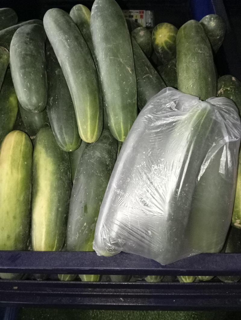 Pepino