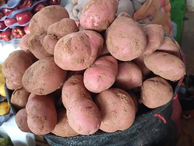 Papa única medianas