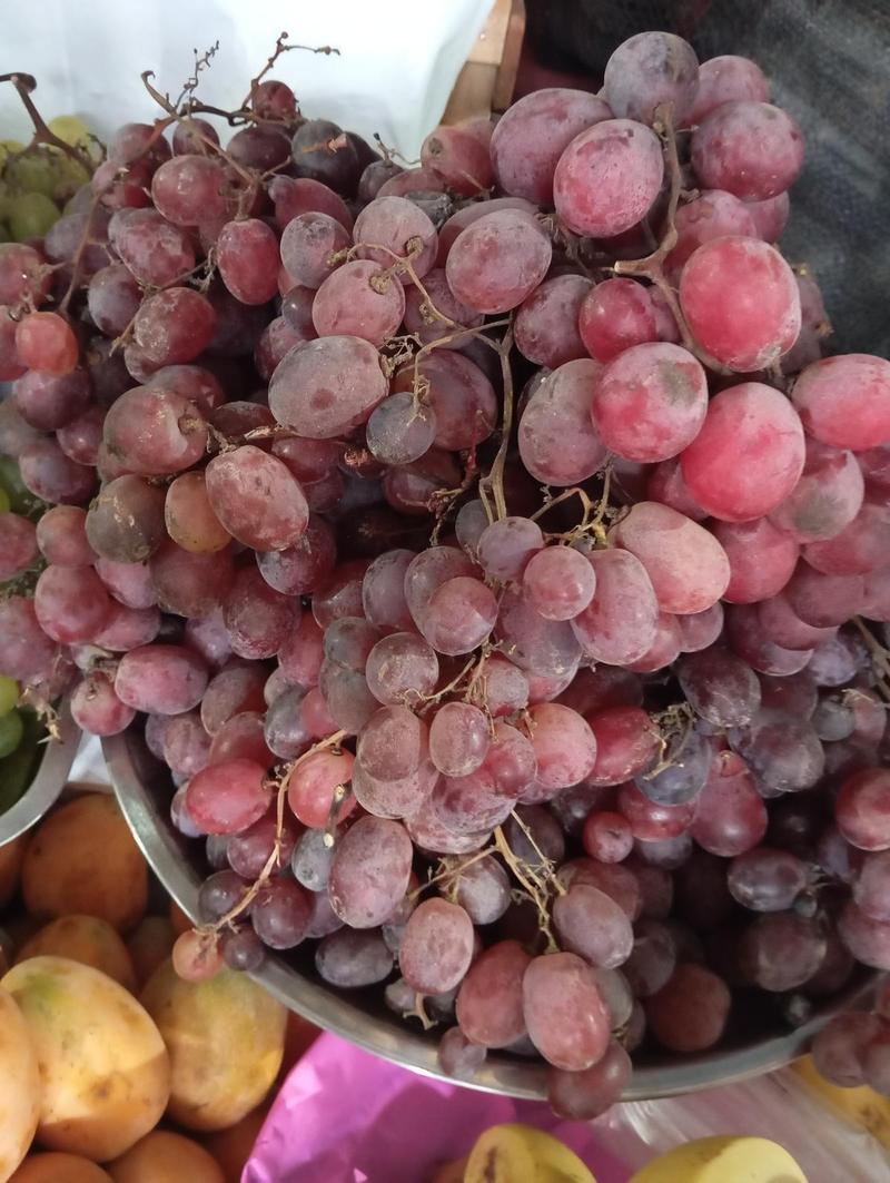 Uvas rosada golden