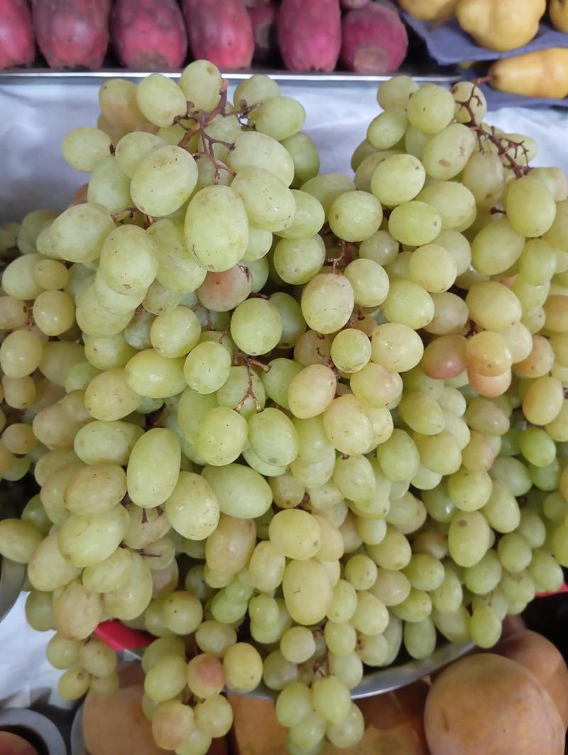 Uvas sin pepa