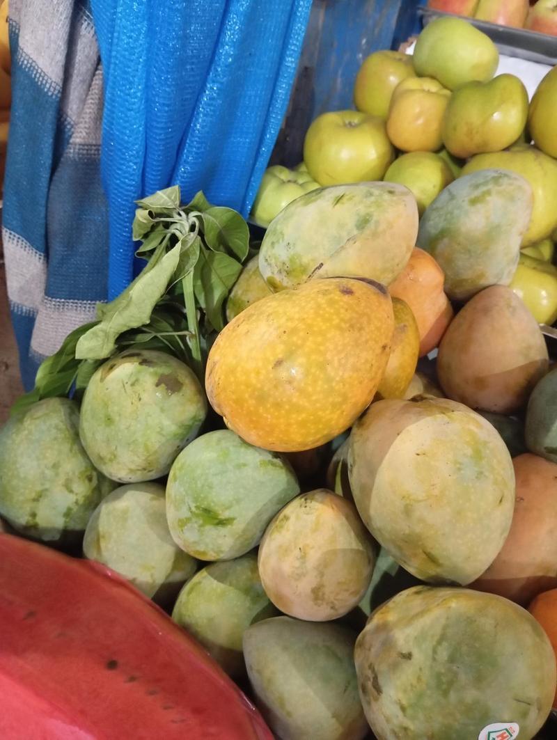 Mango cafro