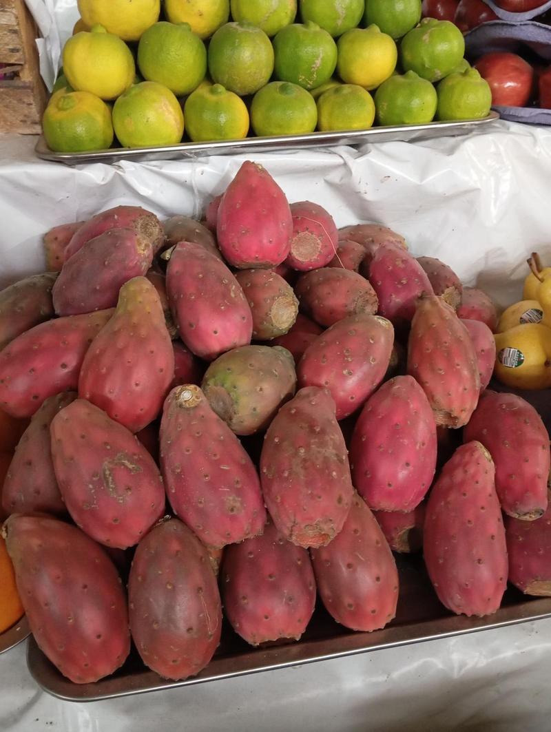 Tunas