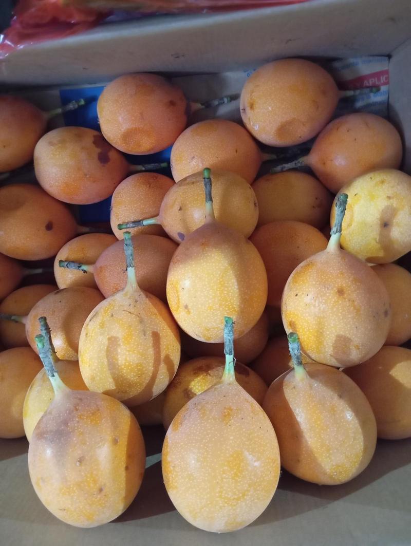 Granadilla