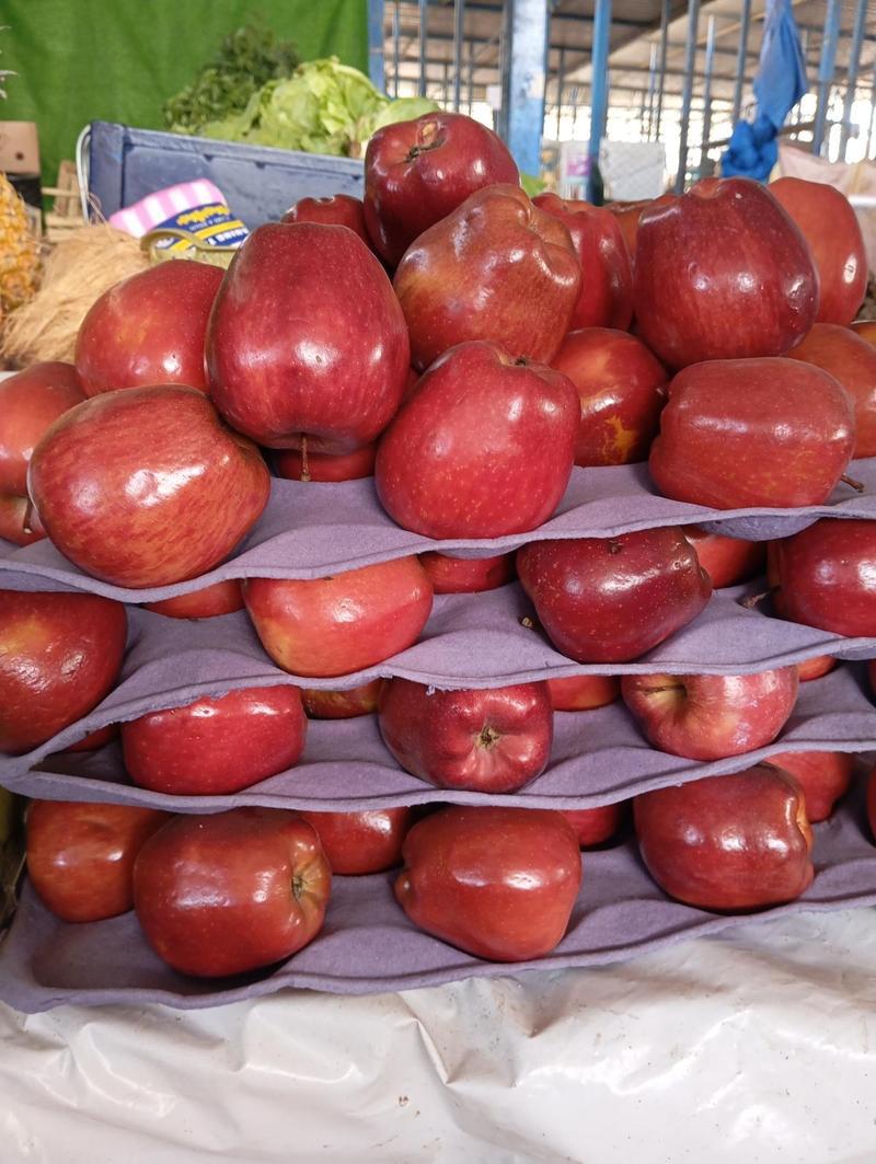 Manzana chilena