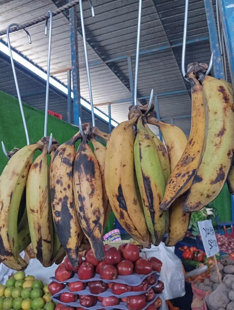 Bellaco