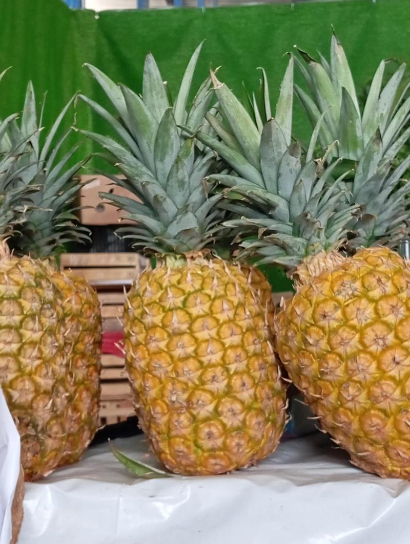 Piña golden grande