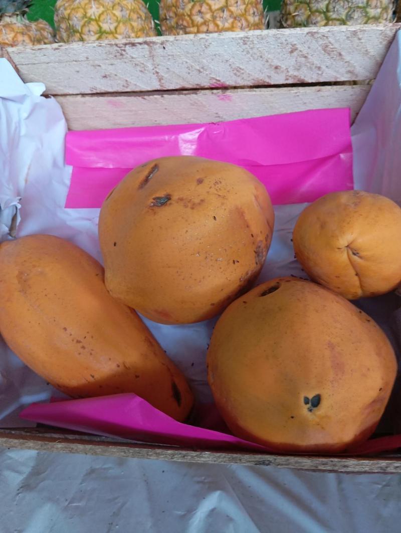 Papaya
