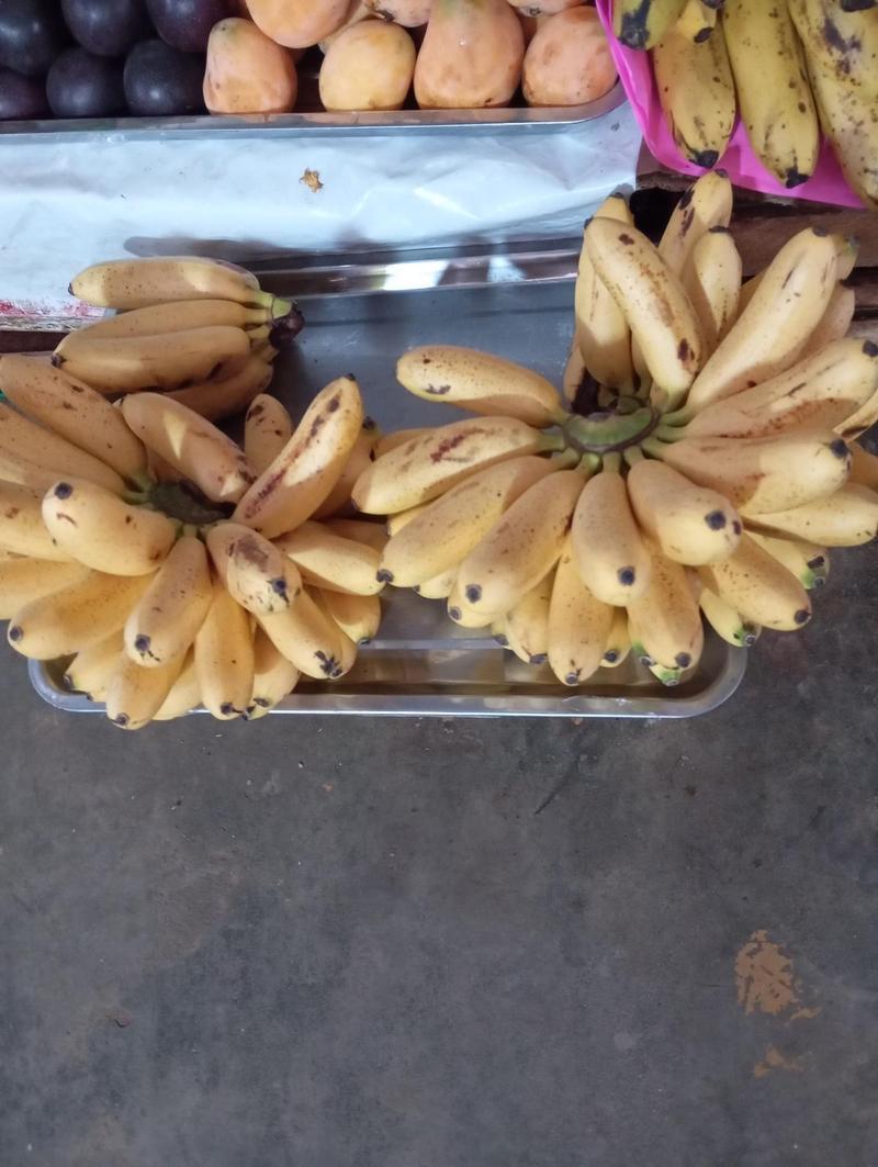 Platanito Bizcochito orgánic