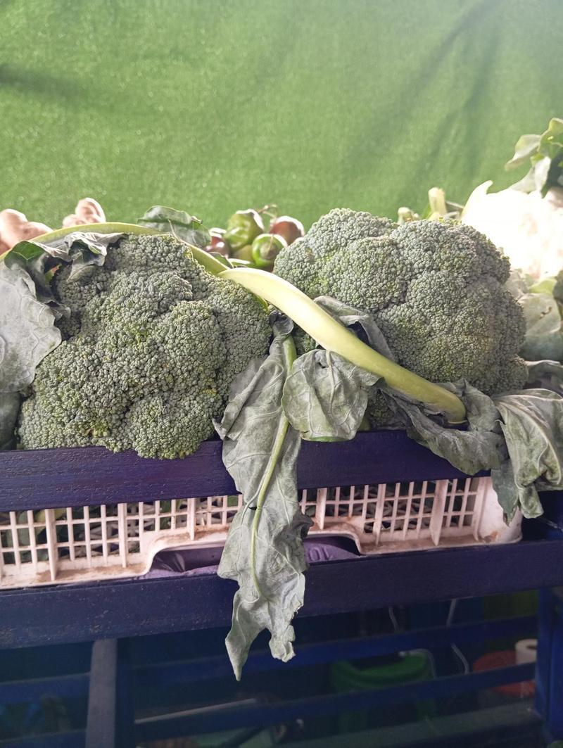 Brócoli
