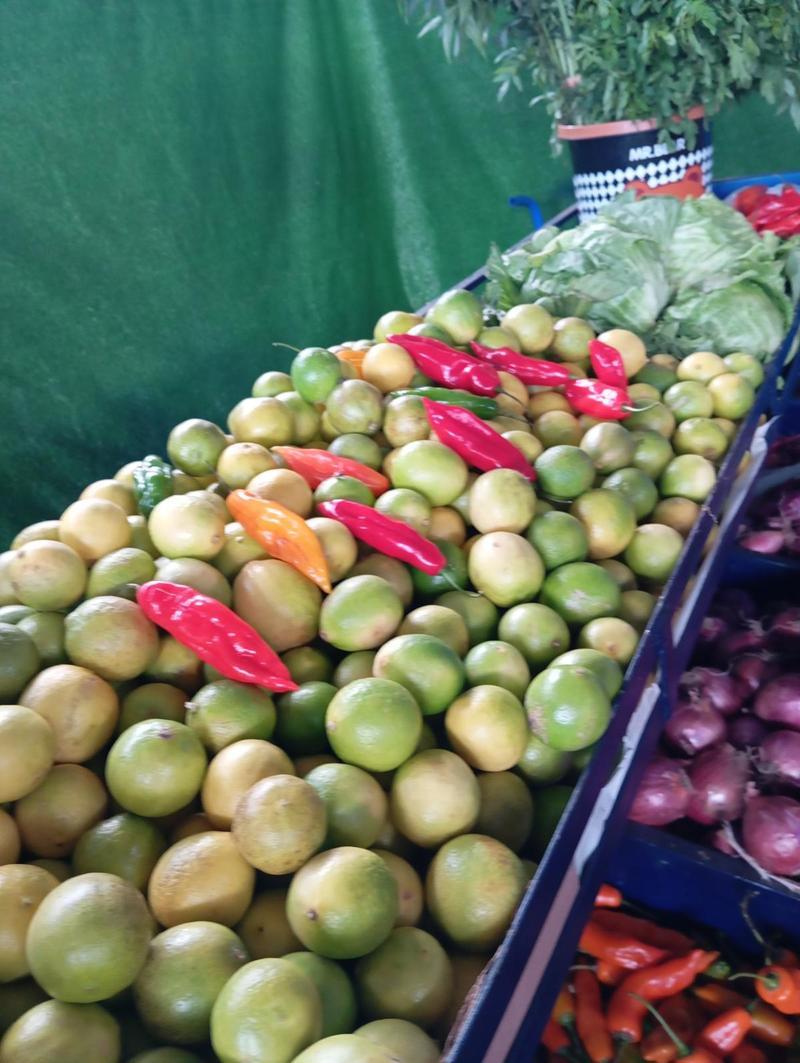 Limón