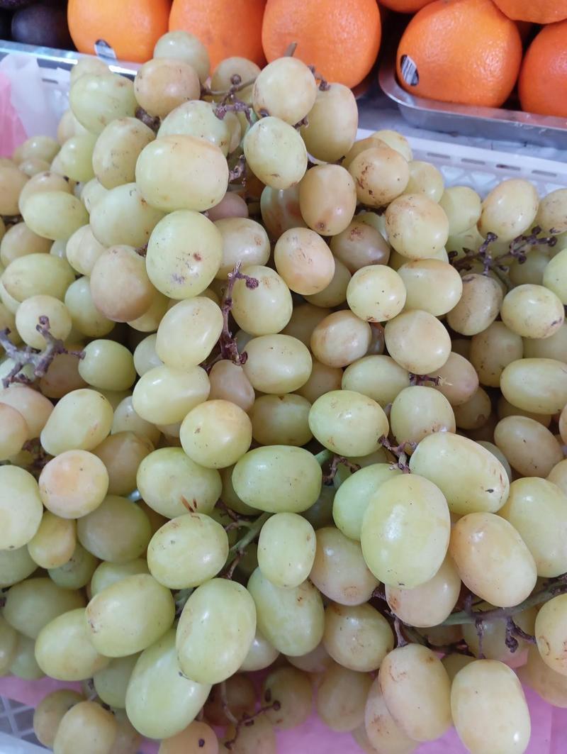 Uvas redondas sin pepa