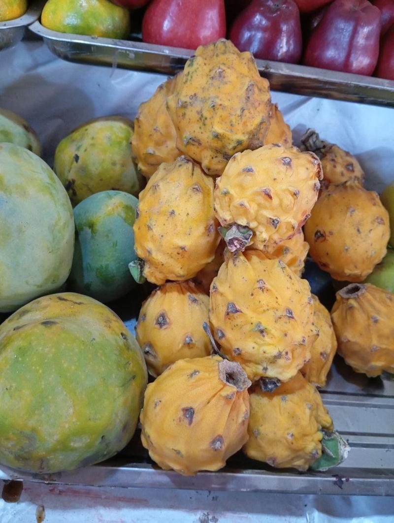 Pitahaya amarillo