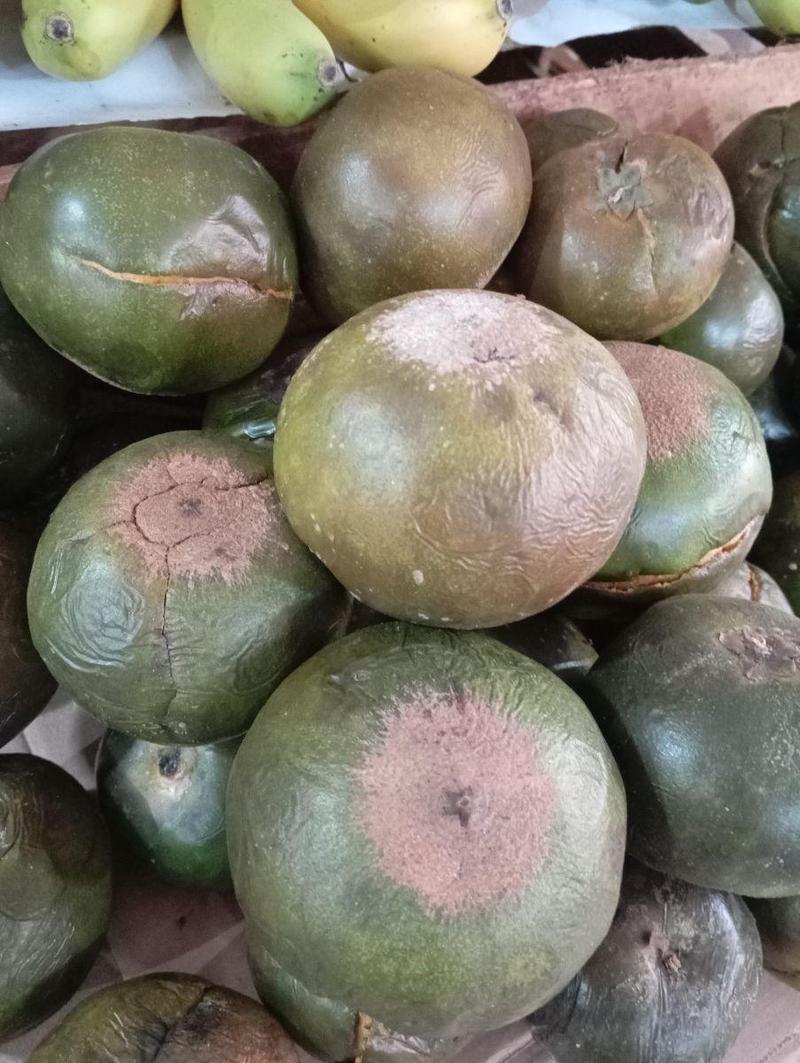 Lúcuma