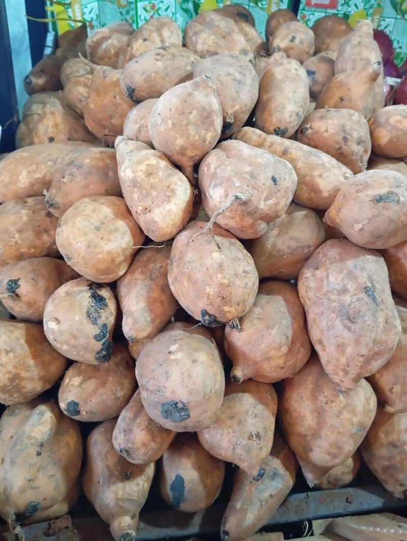Camote Jhonatan
