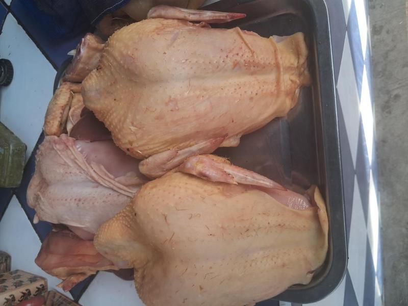 Pollo Fresco