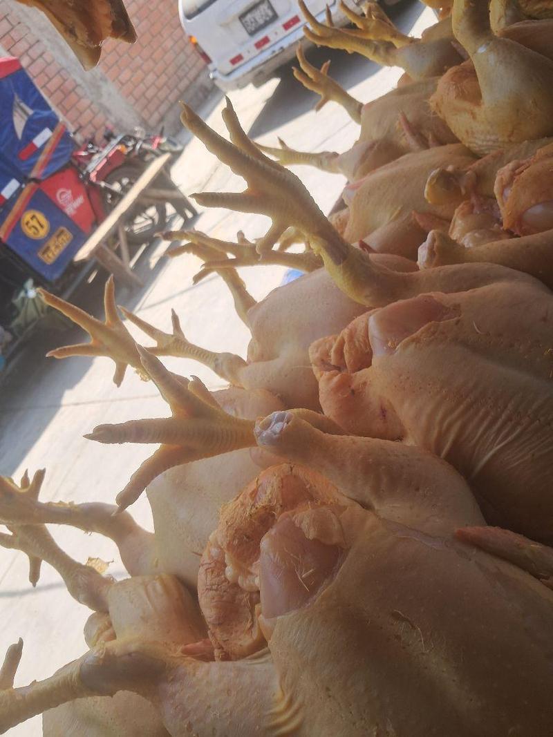 Pollo entero