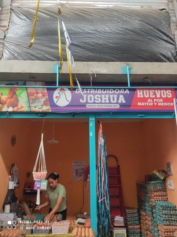 Distribuidora Joshua